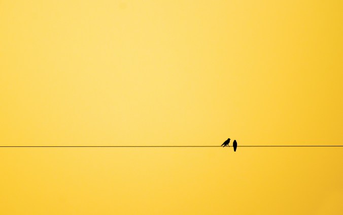 minimalism-birds-background